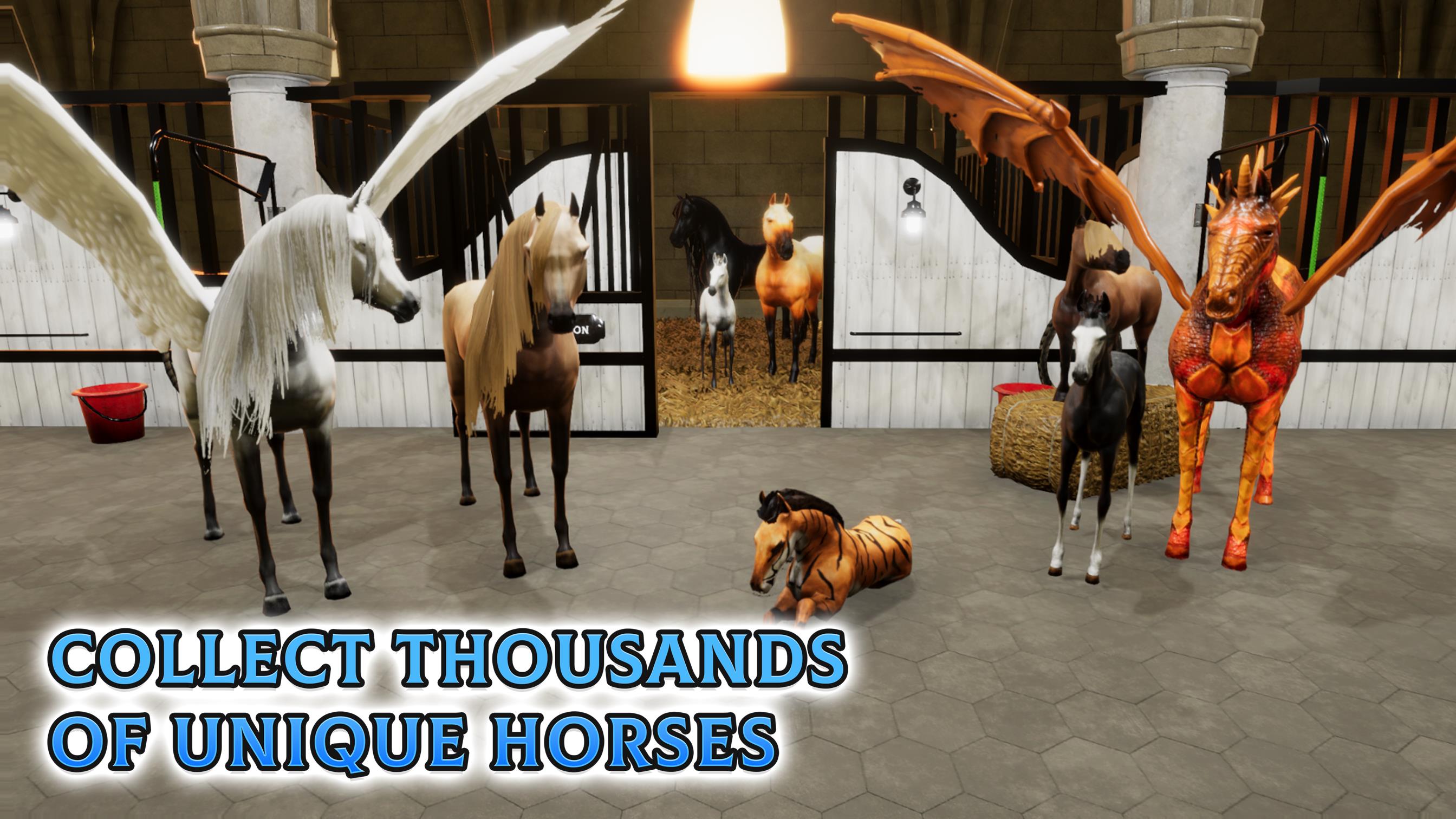 Horse Academy Screenshot 5