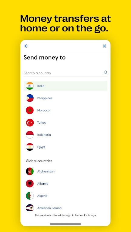 Western Union Screenshot 2 