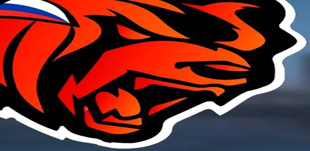 Black Russia RP Helper Screenshot 5