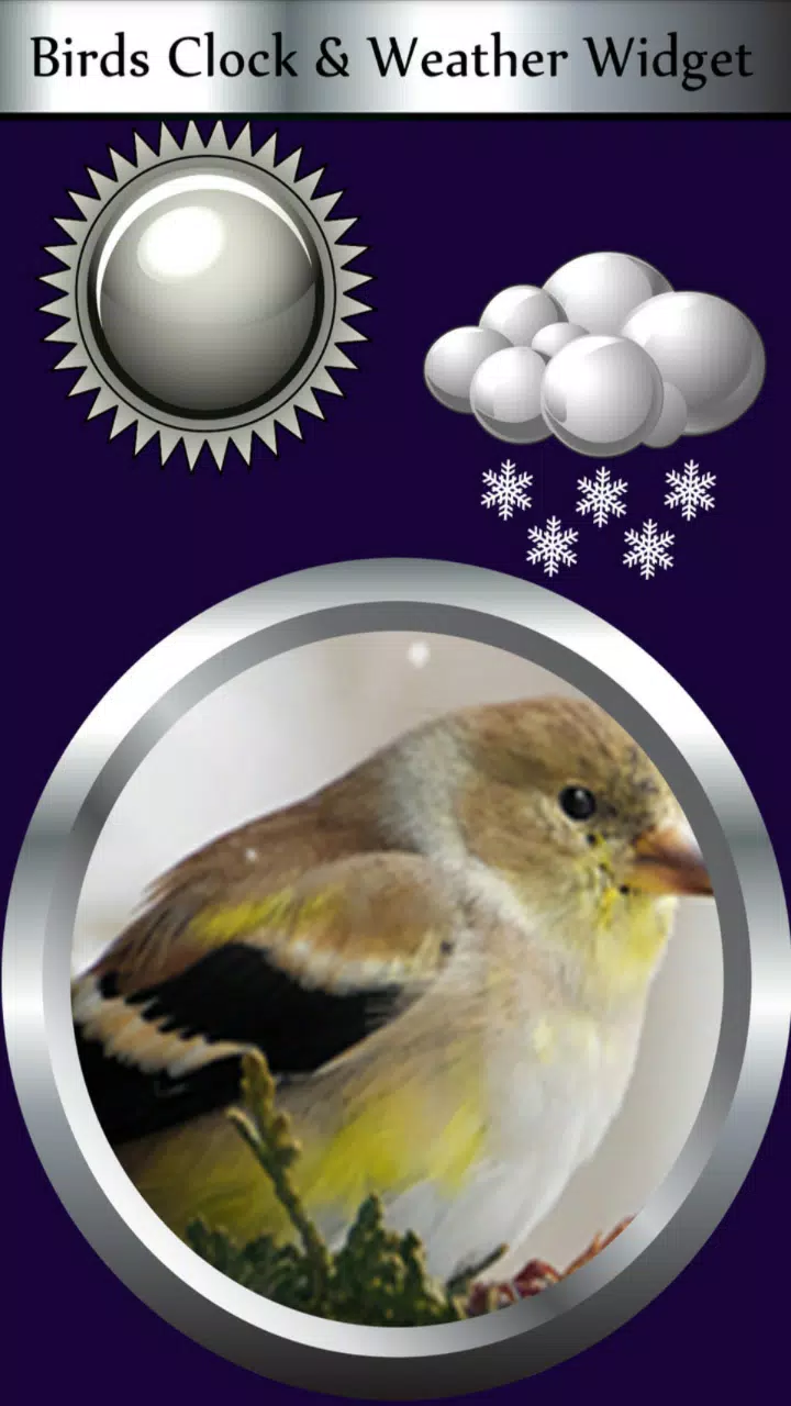 Birds Clock & Weather Widget Screenshot 1
