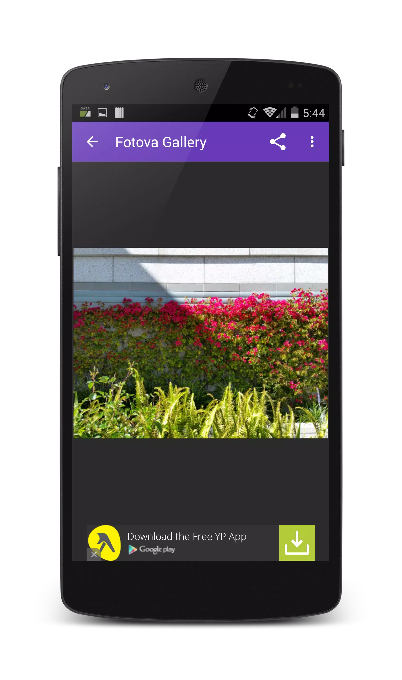 Fotova Gallery Screenshot 4