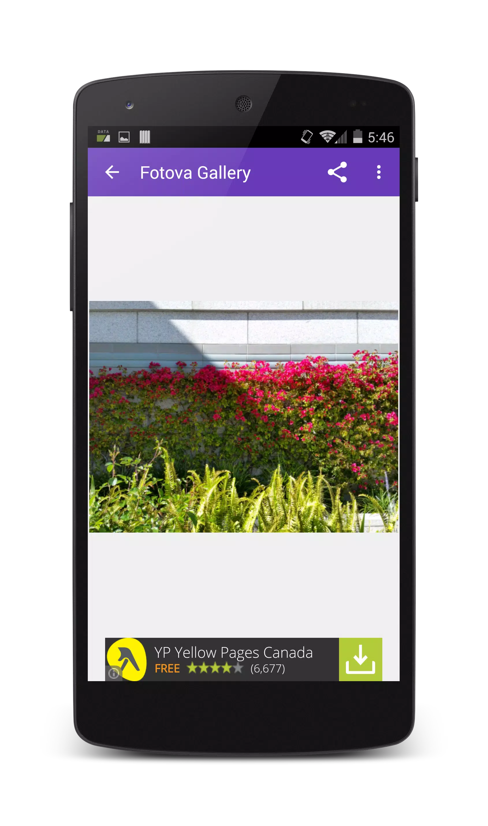 Fotova Gallery Screenshot 7