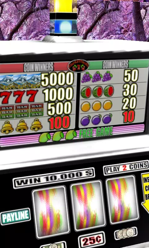 3D Enchanted Wilderness Slots Screenshot 2