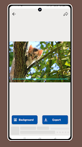 Background Remover - BG Eraser Screenshot 3