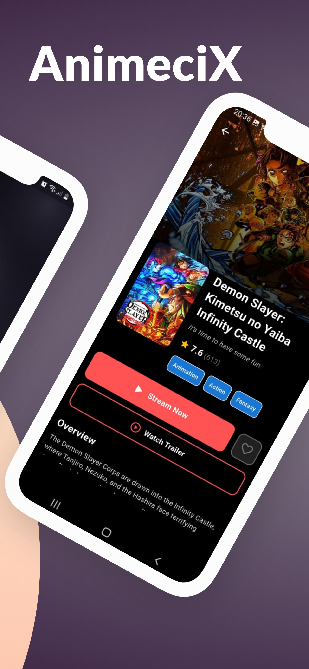 AnimeciX Screenshot 2