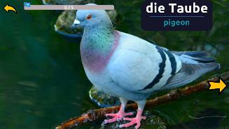 Learn Animals in German Screenshot 3