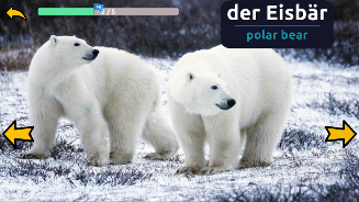 Learn Animals in German Screenshot 8