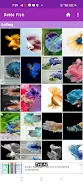 Betta Fish Screenshot 1
