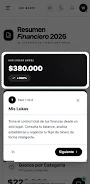 Luka App Gestor Financiero Screenshot 2 