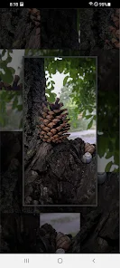 Picture Tile Puzzle Screenshot 6 