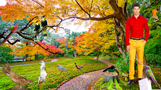 Beautiful Birds Screenshot 3