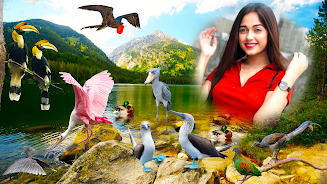 Beautiful Birds Screenshot 5