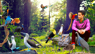 Beautiful Birds Screenshot 2
