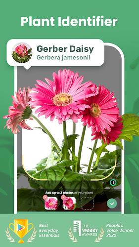 Blossom Screenshot 1