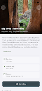 Park Ranger Screenshot 6