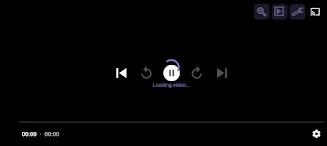 Viz Player Screenshot 2 