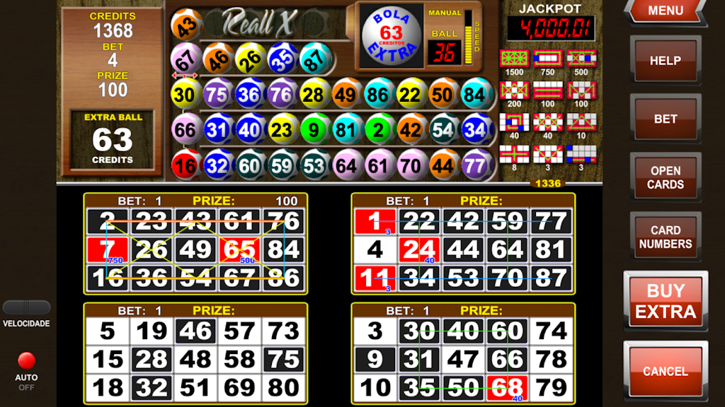 Video Bingo Reall X Flex Screenshot 1