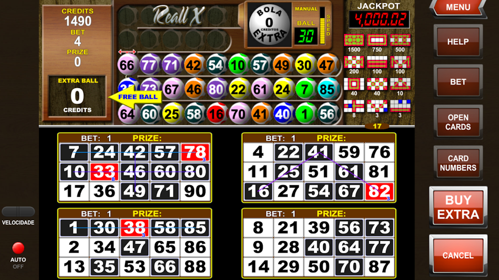 Video Bingo Reall X Flex Screenshot 2