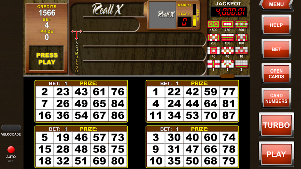 Video Bingo Reall X Flex Screenshot 3