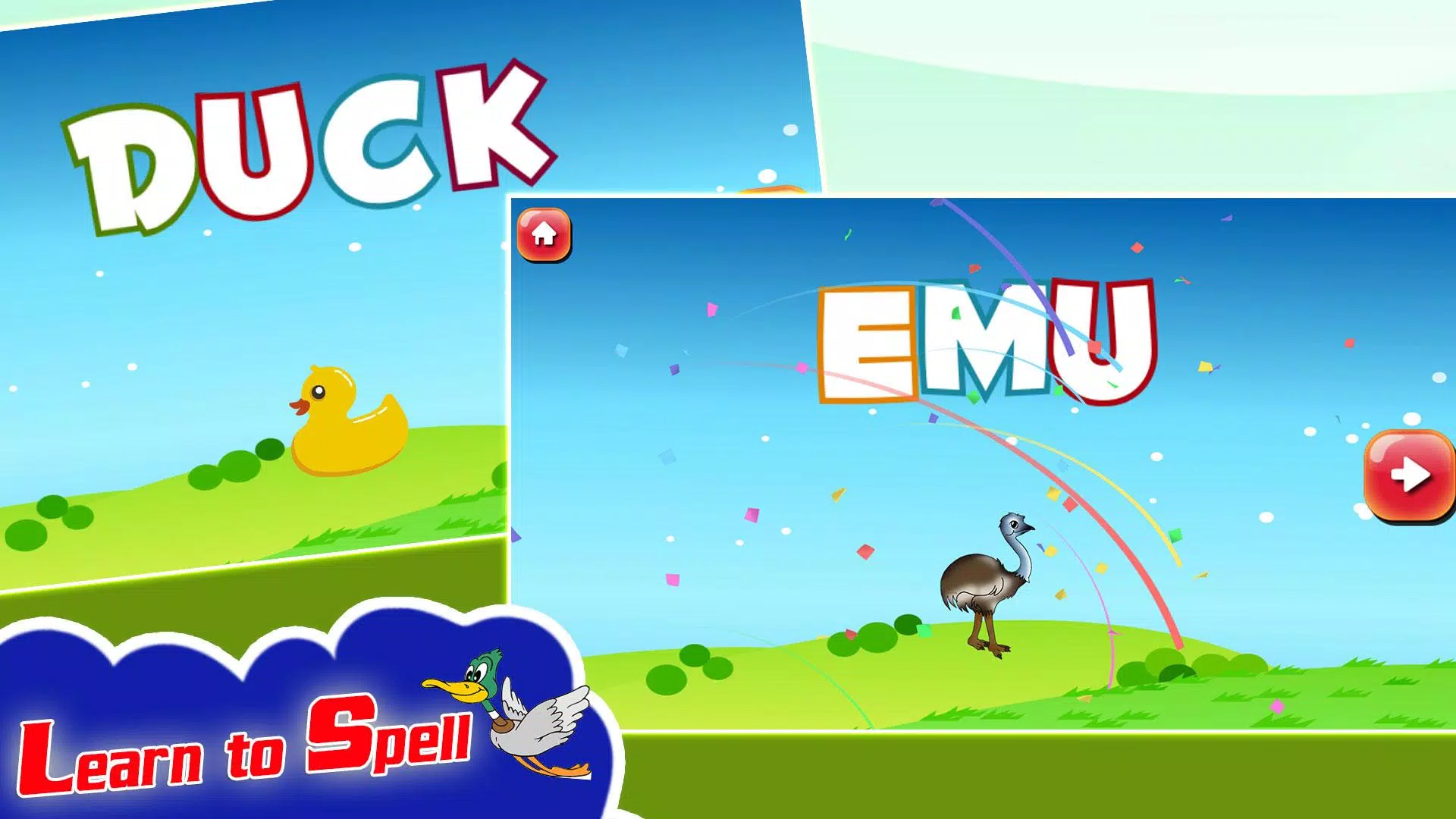 Spelling Learning Birds Screenshot 3 